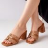 brownmodel